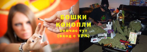 шишки Богородицк